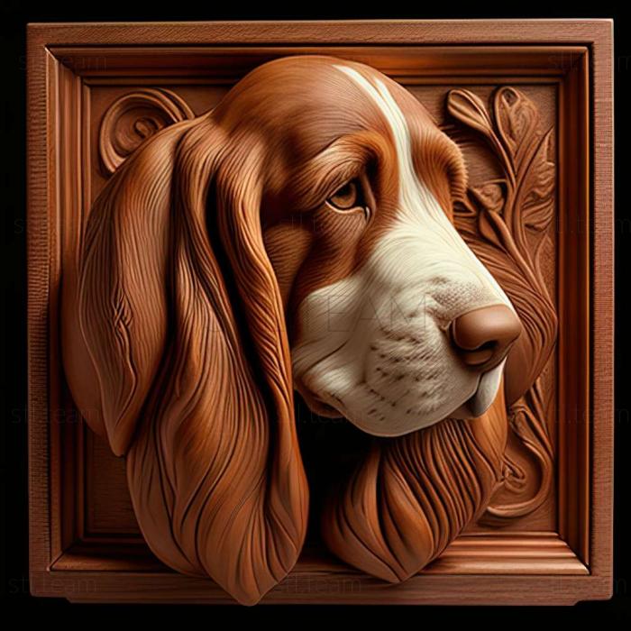 Basset Hound dog